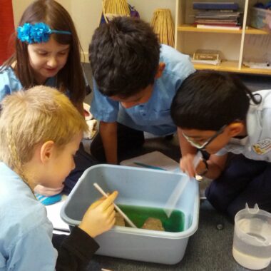 Great Pacific Garbage Patch